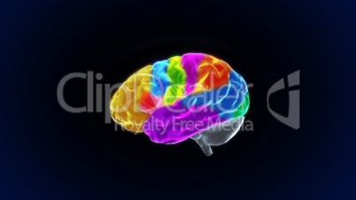 color sections crystal brain still render