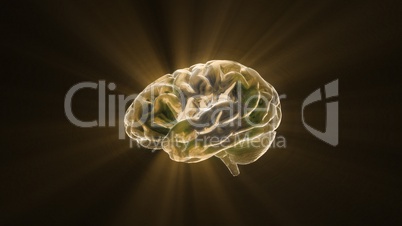 gold crystal brain still render