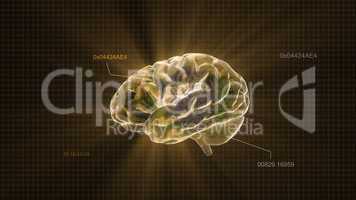 gold crystal brain timecode