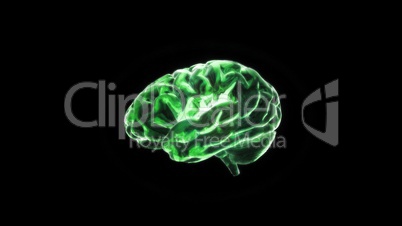 green crystal brain still render
