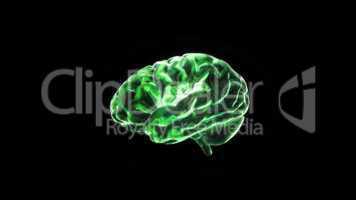 green crystal brain still render