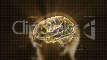 gold crystal brain and head timecode