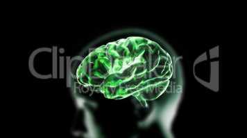 green crystal brain and head