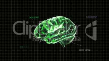 green crystal brain timecode