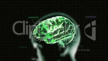 green crystal brain and head timecode
