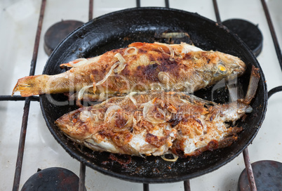 Fried fish in a frying pan