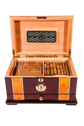 Cigars in humidor