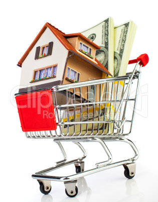 shopping cart and house