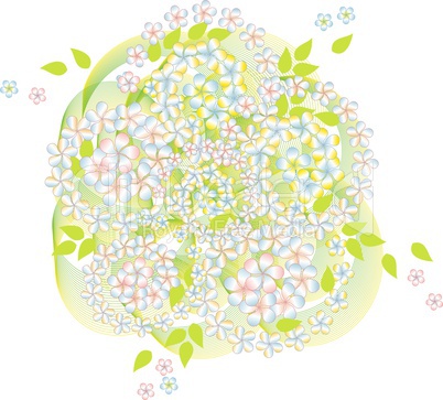 abstract spring background with flowers on white