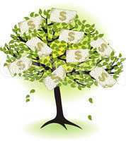 money  tree.with dollar banknotes