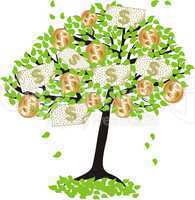 money  tree.with dollar coins and banknotes