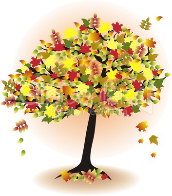 season tree for autumn with colorful leafs