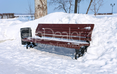 Bench in the winter park