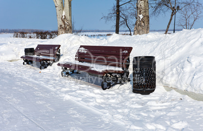 Two wooden bench in the winter park