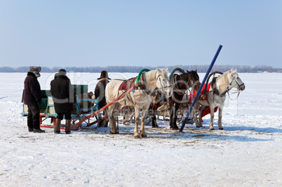 Three horses with sleds at the bank of frozen river in Russia