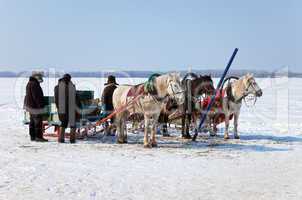 Three horses with sleds at the bank of frozen river in Russia