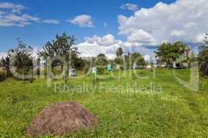 Summer landscape with honey bee hives