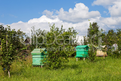 Summer landscape with honey bee hives