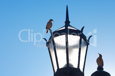 two old lanterns and two birds against the blue sky