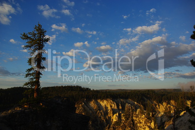 Early morning, Grand Canyon of Yellowstone, Wyoming