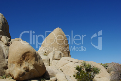 Rocks, yucca and blue sky, Joshua Tree National Park, California