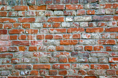 Old Brick Wall