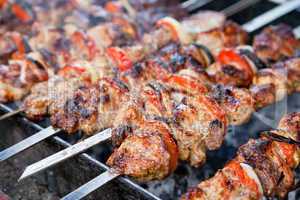 Juicy slices of meat with sauce prepare on fire (shish kebab)