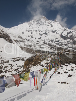 Prayer Flags In Front Of The Annapurna