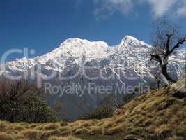 Snow Capped Annapurna South
