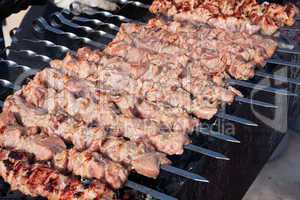 Juicy slices of meat with sauce prepare on fire (shish kebab).