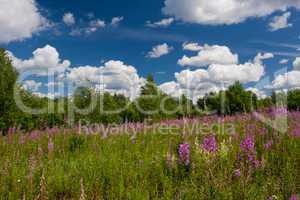 Summer landscape with beautiful clouds