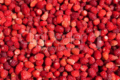 background with fresh red strawberries