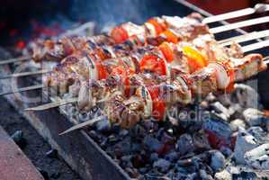 Juicy slices of meat with sauce prepare on fire (shish kebab).