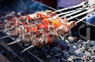Juicy slices of meat with sauce prepare on fire (shish kebab).