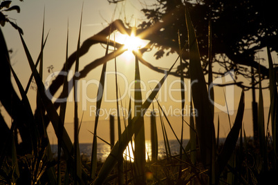 Blick durch auf die Ostsee beim Sonnenuntergang im Gegenlicht