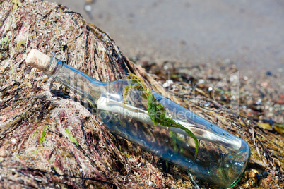 Flaschenpost am Strand