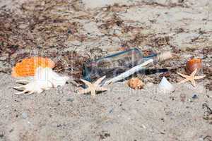 Flaschenpost am Strand mit Muscheln und Seestern