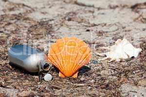 Muscheln und eine Feldflasche am Strand