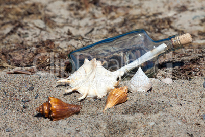 Flaschenpost am Strand zwischen Muscheln
