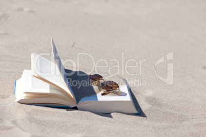 Lesen am Strand