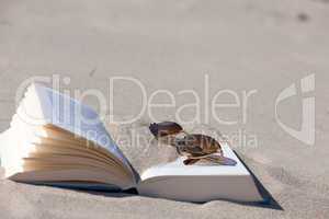 Buch am Sandstrand mit dunkler Sonnenbrille