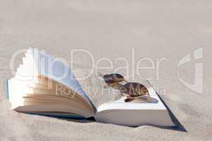 Sonnenbrille liegt auf Buch am Strand