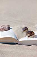 Buch liegt am Sandstrand aufgeschlagen