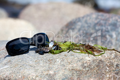 Sonnenbrille mit Seetang und Muscheln liegt auf Felsen