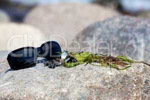 Sonnenbrille mit Seetang und Muscheln liegt auf Felsen
