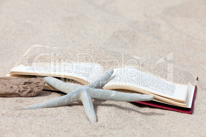 Buch liegt am Strand unter einem Seestern und einem Stück Treibholz