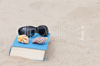 Mit Sonnenbrille und Buch am Strand