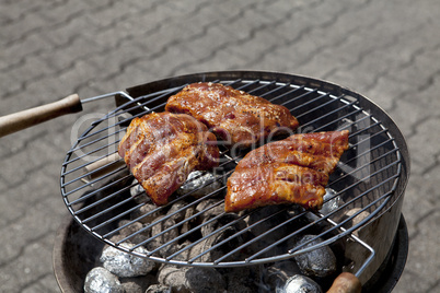 Frusches Fleisch auf einem Grill im Sommer im freien