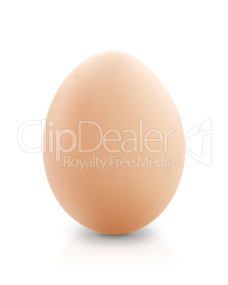 Egg