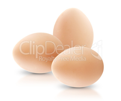 Egg